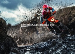 开云官网入口-裁判马宁的崇高追求，无需VAR辅助的完美执法，误判时刻深怀内疚