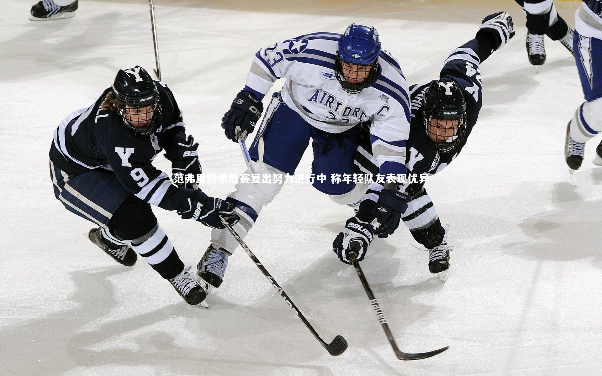 范弗里特季后赛复出努力进行中 称年轻队友表现优异